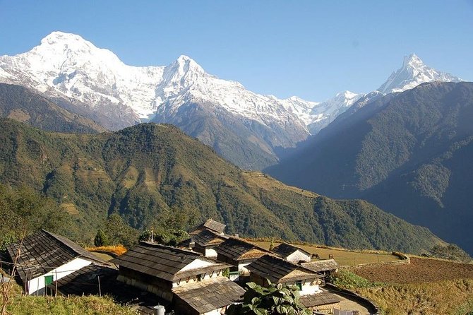 Annapurna Ghorepani Poon Hill trek from Pokhara short and easy hike in Himalaya - Tadapani to Ghandruk: trading ridges for village life