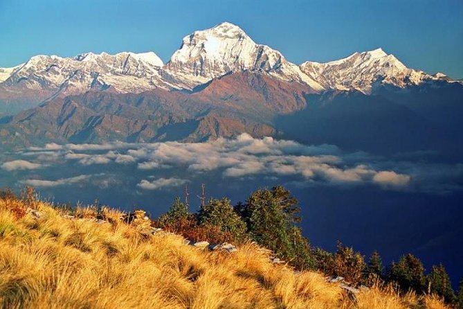 Annapurna Ghorepani Poonhill Trekking - Key highlights you’ll actually care about