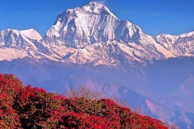 Annapurna Poon hill Sunrise Trek - Day-by-day route: from Ulleri steps to Ghorepani lodges
