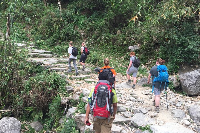Annapurna Poonhill Trek - Ulleri steps and Ghorepani: where the trek starts feeling real