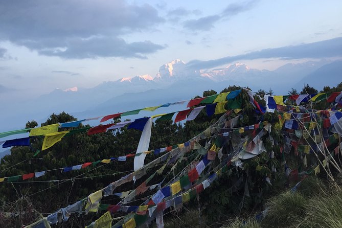 Annapurna Poonhill Trek - Tadapani to Ghandruk: rhododendron forests and real village life