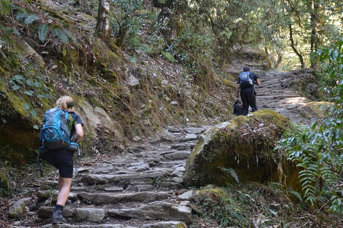 Annapurna Poonhill Trek - Into Pokhara via Dhampus and Phedi: your last hiking day