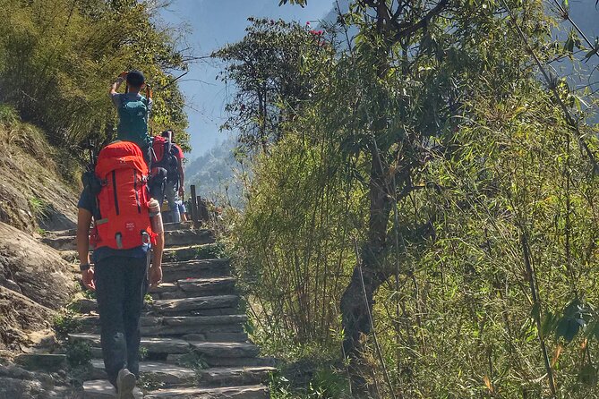 Annapurna Sanctuary Trek ( 11 Days) - Toward Machhapuchhre Base Camp: Where the Views Earn Their Pay