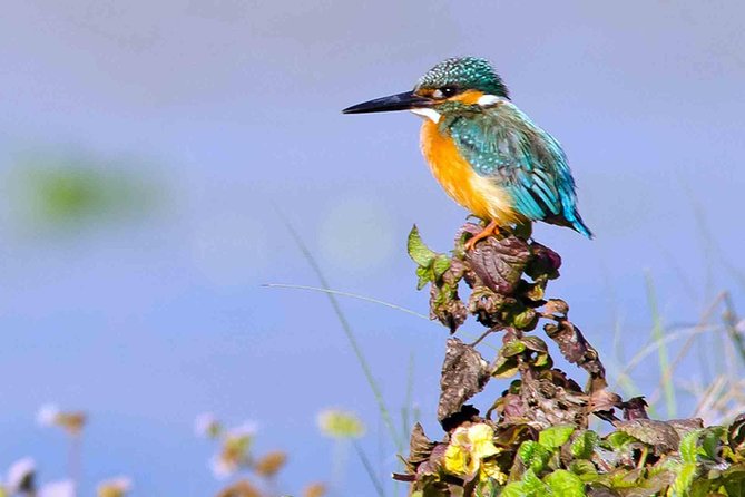 Best of Nepal Luxury Adventure Tour Package - 9 Days - Key highlights before you book