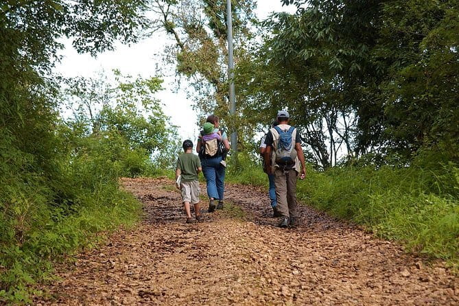 Birding Hike: Day Birdwatching in Kathmandu - Key Things That Make This Birding Day Work