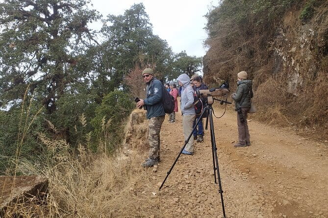 Birding Hike: Day Birdwatching in Kathmandu - A Birding Day in Kathmandu’s Hill Forests: What You’re Really Doing