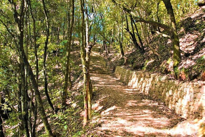 Birding Hike: Day Birdwatching in Kathmandu - Manohara and Optional Temple Stops: A Mindful Hike With Real-World Stops