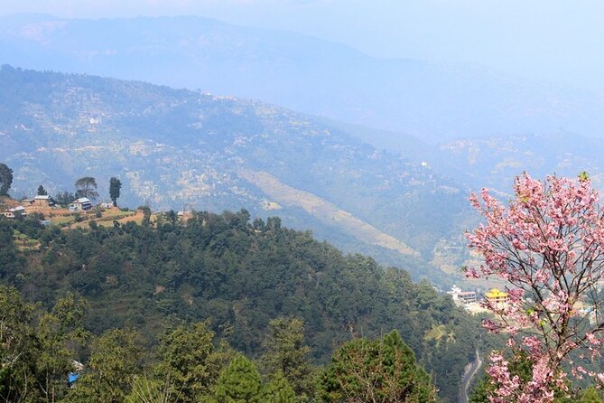 Changunarayan Hill to Telkot Hike Near Kathmandu Day Tour - Price and Value: What $95 Covers (and What It Doesn’t)