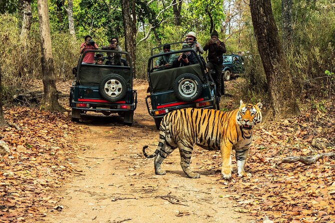 Chitwan Jungle Safari 3-Day Tour - Key points that make this tour worth a look
