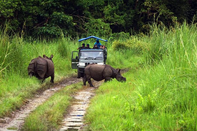 Chitwan Jungle Safari 3-Day Tour - Day 2 inside Chitwan: birds, canoe time, a jungle walk, then the jeep safari