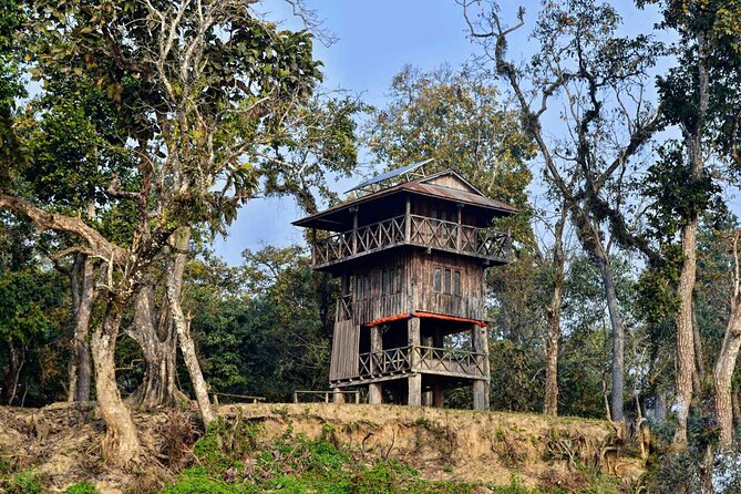 Chitwan Jungle Safari 3-Day Tour - Price and value: what $38 gets you (and what it doesn’t)