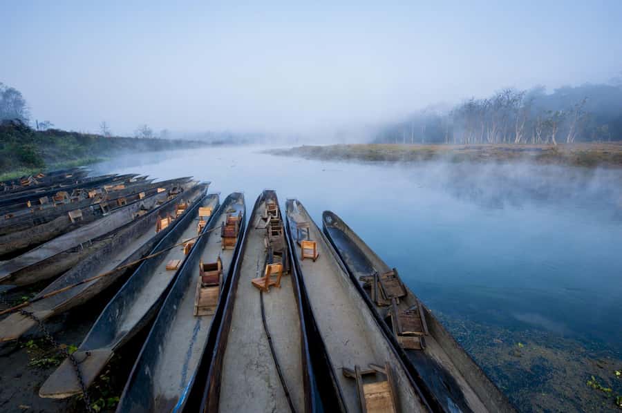 Chitwan: Jungle Safari Tour with Canoe Ride in Forest River - Key highlights worth planning around