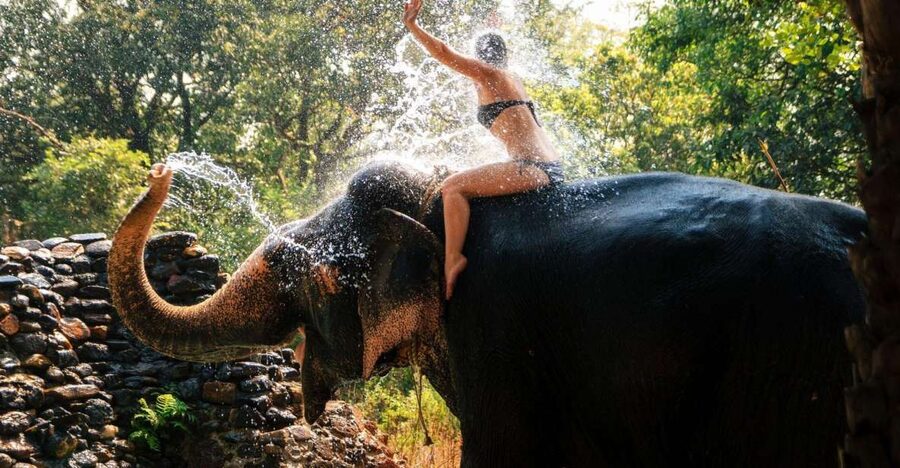 Chitwan: Jungle Safari Tour with Canoe Ride in Forest River - Practical tips that make your safari day smoother