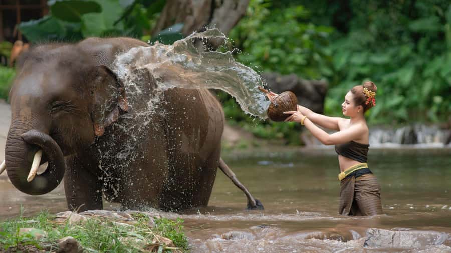 Chitwan: Jungle Safari Tour with Canoe Ride in Forest River - Chitwan safari rhythm: why 3 days work here