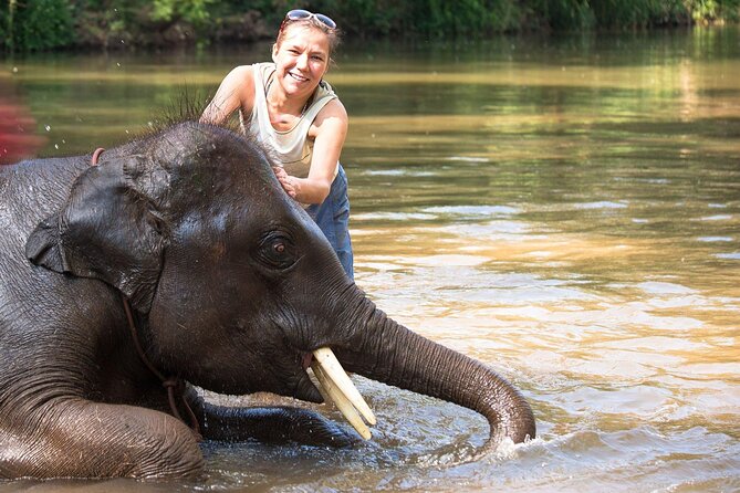 Chitwan National Park Tour - Day 1: Arrival, Welcome Drinks, Evening Walk, and Tharu Show