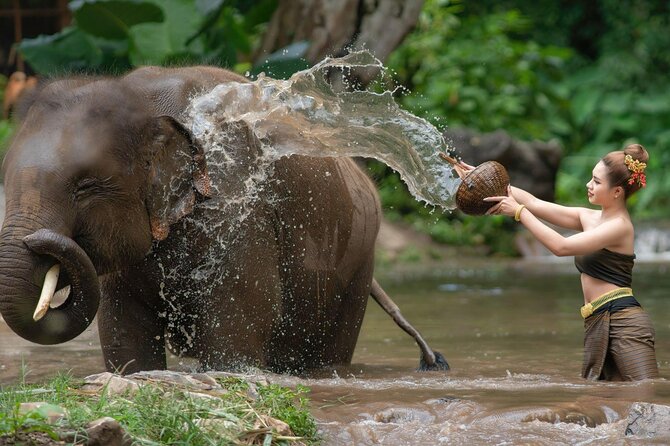 Chitwan National Park Tour - Day 2: 7:00 am Breakfast, Canoe Glide, Jungle Walk, and Jeep Safari