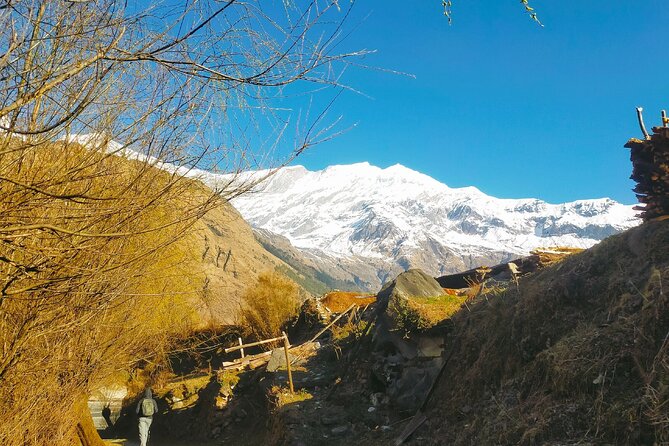 Circle the Annapurna: A Life-Changing Trek Adventure - Crossing Thorong La to Muktinath, then down to Kagbeni and Marpha