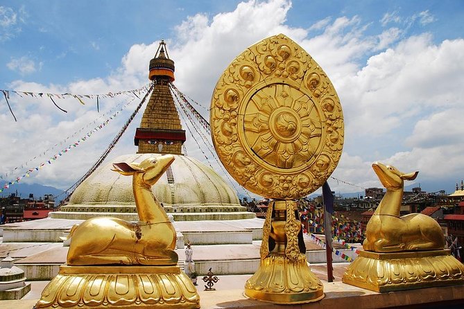 Classic Nepal Tour - Chitwan National Park: Jungle Safari, Wildlife Odds, and Bird Time