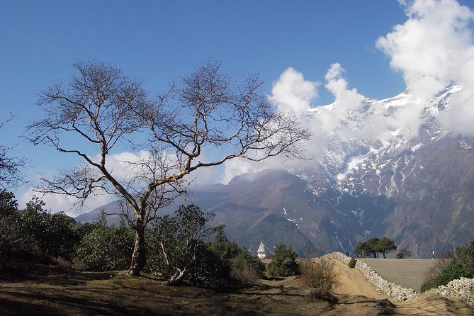 Everest Base Camp - Cho La Pass - Gokyo Trek - Everest Base Camp: the classic milestone with added support