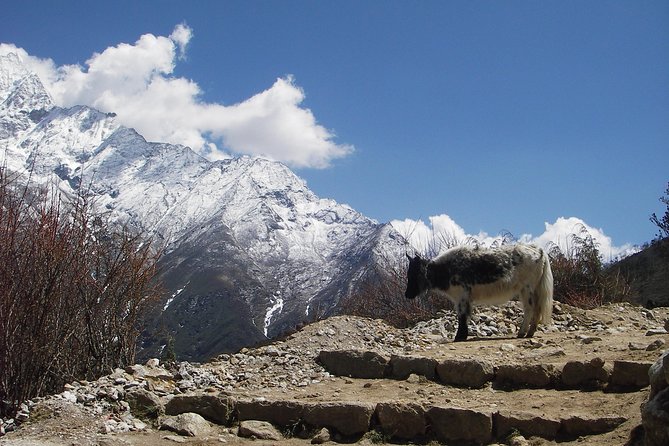 Everest Base Camp - Cho La Pass - Gokyo Trek - Namche Bazaar and Tengboche: where Everest meets everyday mountain culture