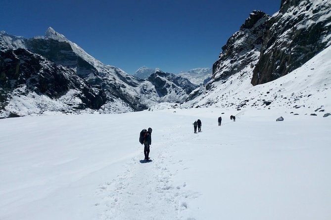 Everest Base Camp+Gokyo Ri - Plants, Wildlife, and the Stuff You Might Miss Without a Guide