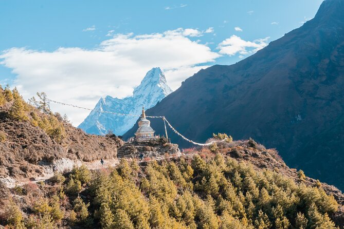 Everest Base Camp & Gokyo Ri Trek - Into the Rhododendron Belt: The Dudh Koshi Valley Grind