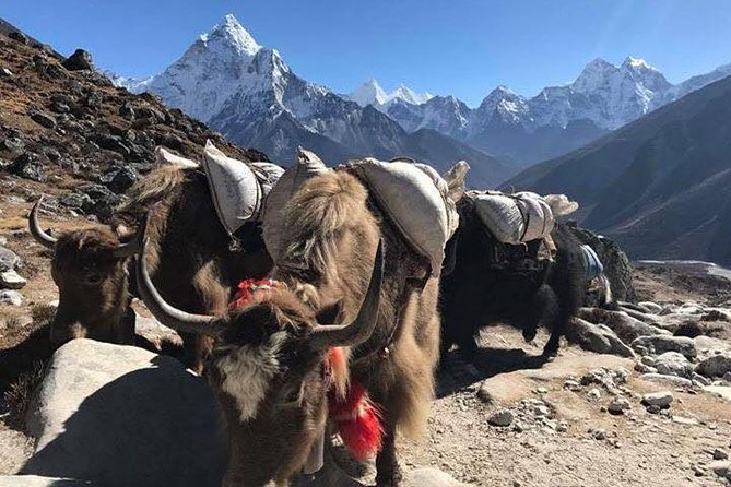 Everest Base Camp Trek 12 Days – Best Himalayan Adventure - Cold-Weather Reality Check: Weather Can Turn in the Everest Region