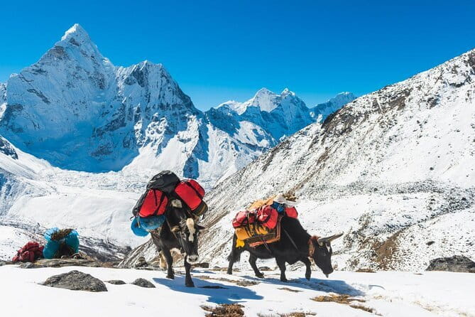 Everest Base Camp Trek - 14 Days - Day 3 into Namche Bazaar: bridges, prayer flags, and Sagarmatha National Park