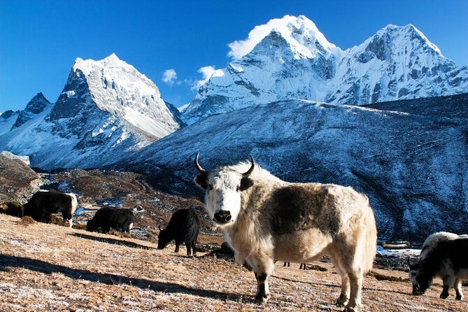 Everest Base Camp Trek with Helicopter Return from Gorakshep to Lukla - Key highlights you should know