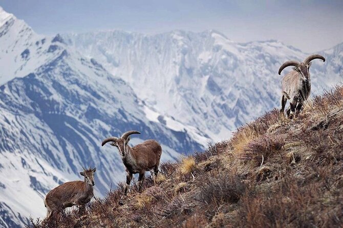 Everest Base Camp Trek with Kathmandu Valley Sightseeing Tour - Kathmandu first: three-star comfort and a practical launch