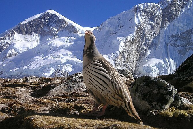 Everest Base Camp Trek with Kathmandu Valley Sightseeing Tour - Kala Patthar: the altitude payoff (and why it’s worth respecting)