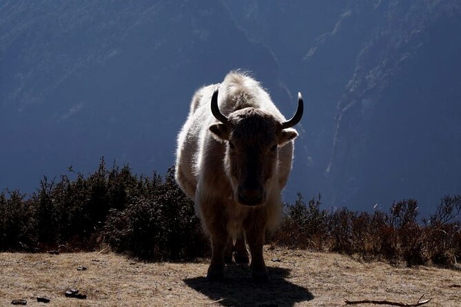 Everest Base Camp Trekking - 2025/2026 - Gorak Shep and Everest Base Camp: the big finish around the rough edges