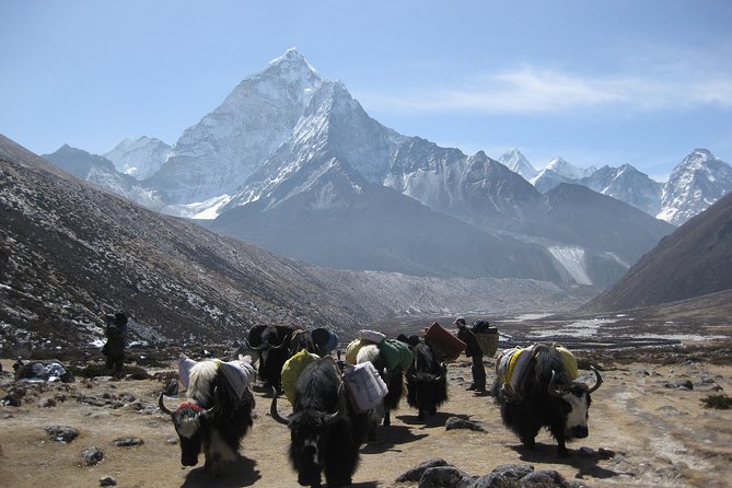 Everest Three (High) Passes Trekking - The Guide Team: Names You Might Meet and Why Their Style Matters