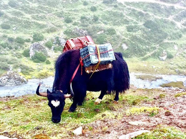 Everest View Trek - 7 Days - Where You Sleep and What You Eat (and What You Pay Extra for)