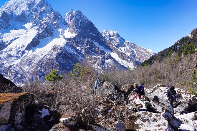 Experience the Thrill of a Lifetime:12-Days Manaslu Circuit trek - Day 11–12: Ponkar Glacier area, apples and wine at Tije, then the jeep out