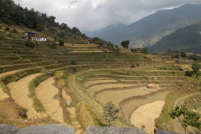 Experiential Career Break trip to Nepal for Gap year and Sabbatical travelers - Shobha Bhagawati to Asan: Markets, Ayurveda, and Everyday Nepal