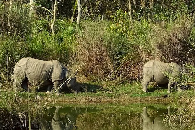 Explore Nepal In A Week – 7 Days - Price and Logistics: What Your $999 Actually Buys