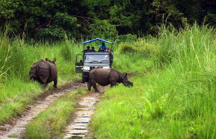 From Kathmandu/Pokhara: 2, 3, or 4-Day Chitwan Jungle Safari - Tharu village tour and sunset cultural program
