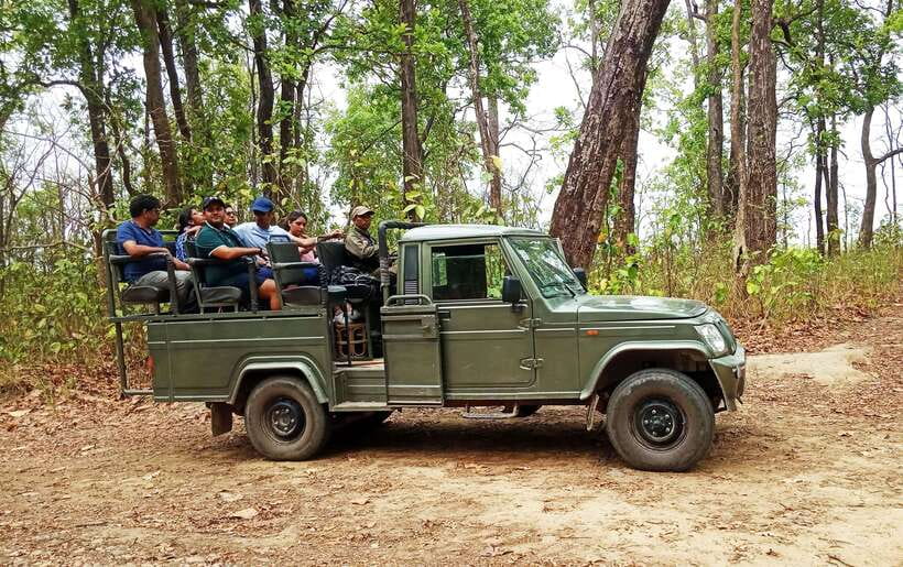 From Kathmandu/Pokhara: 2, 3, or 4-Day Chitwan Jungle Safari - Price and value: what $35 covers (and what it doesn’t)