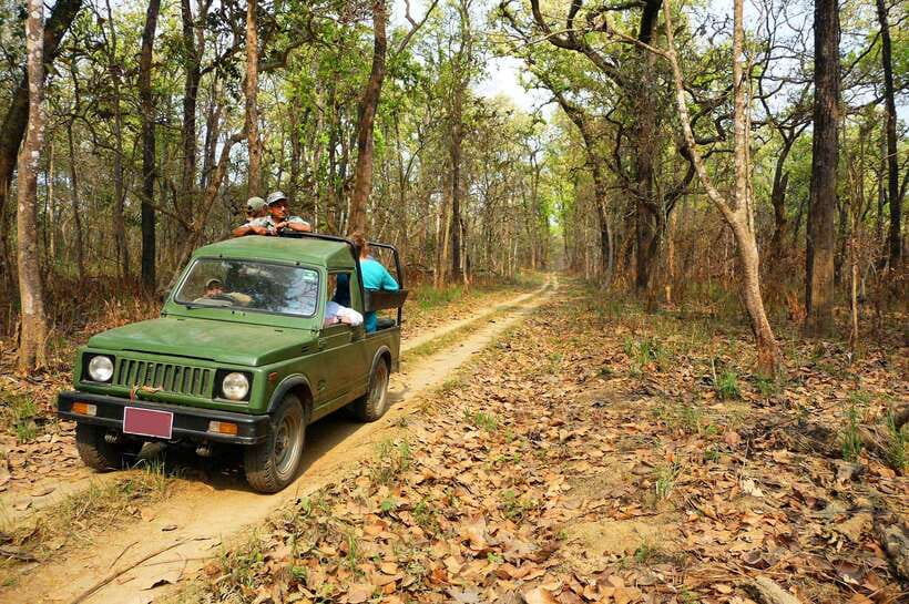 From Kathmandu/Pokhara: 2, 3, or 4-Day Chitwan Jungle Safari - Day-by-day: what you do on 2, 3, and 4 days