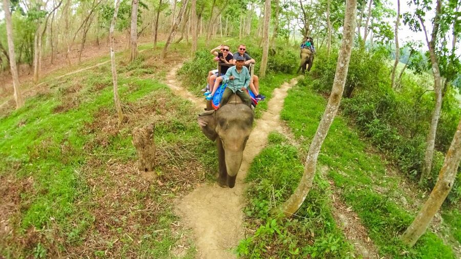 From Kathmandu/Pokhara: 3-Day All-Inclusive Chitwan Safari - Chitwan in 3 days: why this package works