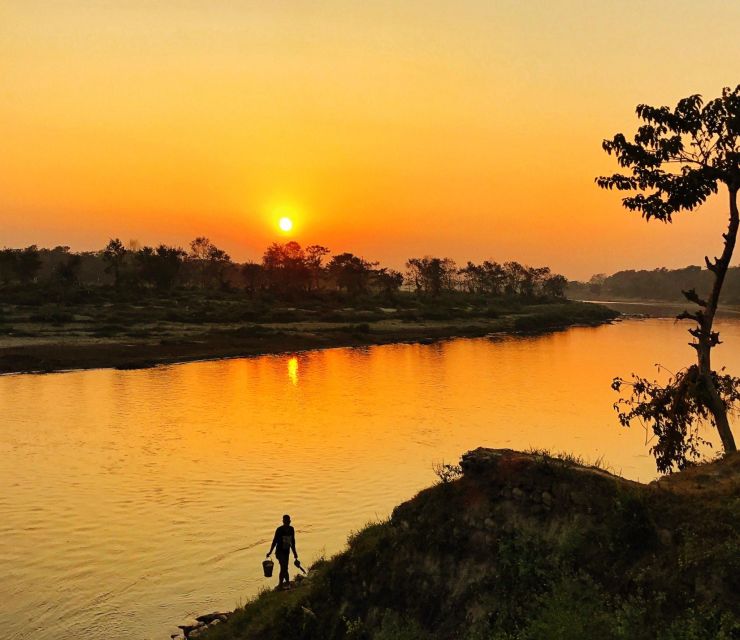From Kathmandu/Pokhara: 3-Day All-Inclusive Chitwan Safari - Price and value at about $149 per person