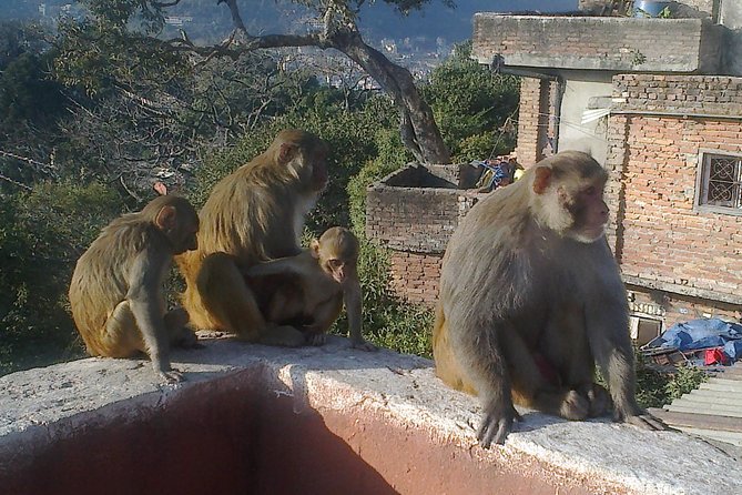 Full Day Kathmandu City Sightseeing Tour of UNESCO Heritage Sites - Group size (max 15) and how it changes your experience
