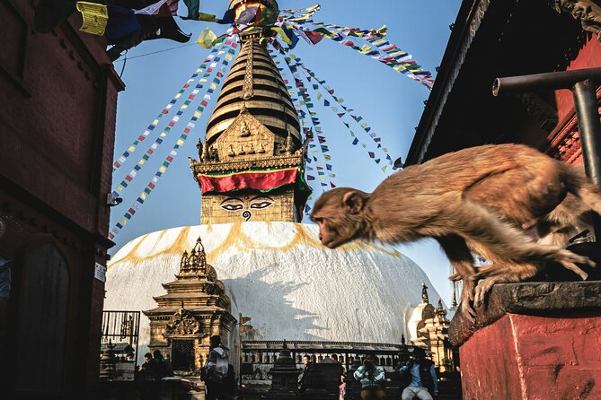 Full Day Private Tour of Kathmandu - UNESCO World Heritage Sites - A UNESCO sweep of Kathmandu in about 6 hours