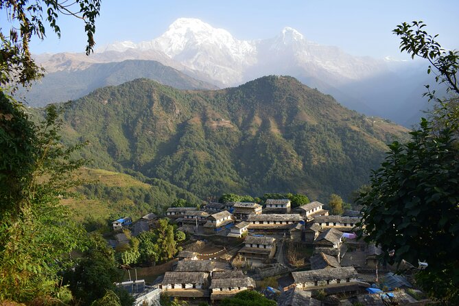 Ghorepani Ghandruk Wellness Yoga Trek - Price and Value: What $1,979 Buys (and What to Budget for)