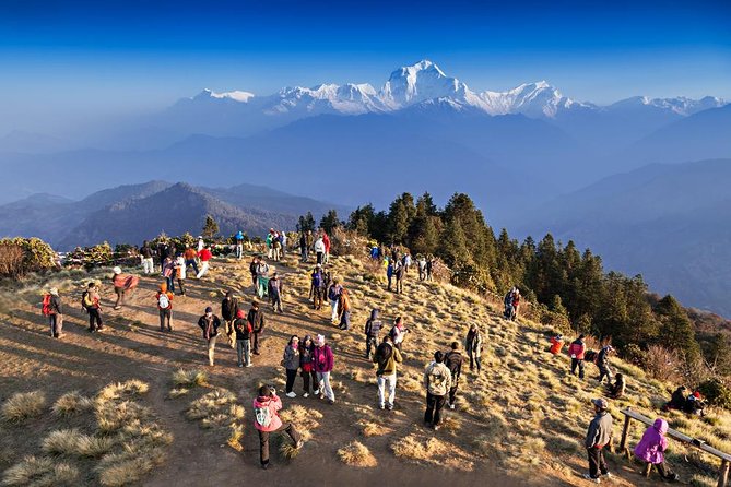 Ghorepani Poon Hill Sunrise Trek - Key things that make this trek worth your time