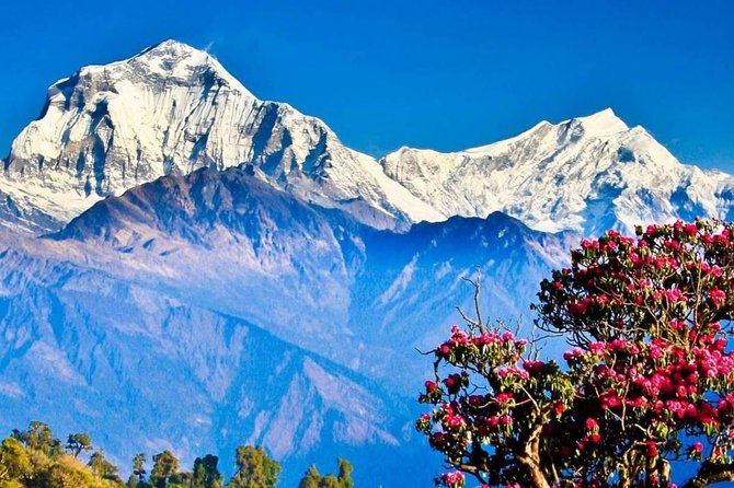Ghorepani Poon Hill Sunrise Trek - Nayapul to Tirkhedhunga: terraces, village rhythm, and first altitude lessons