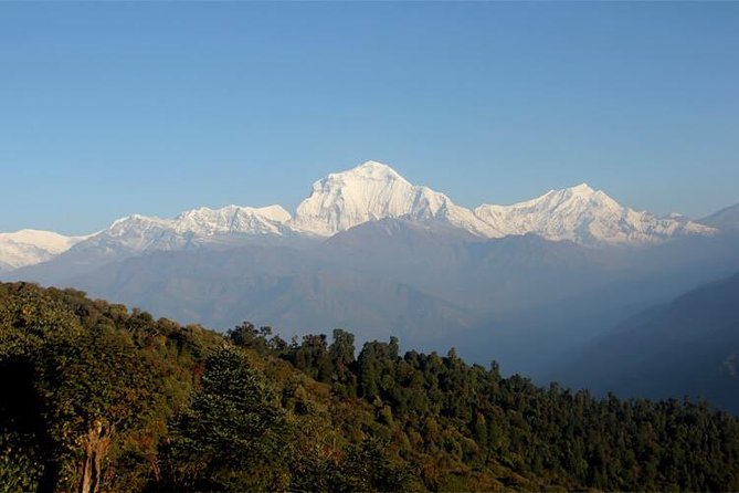 Ghorepani Poon Hill Trek - Guides, private group time, and what good support looks like