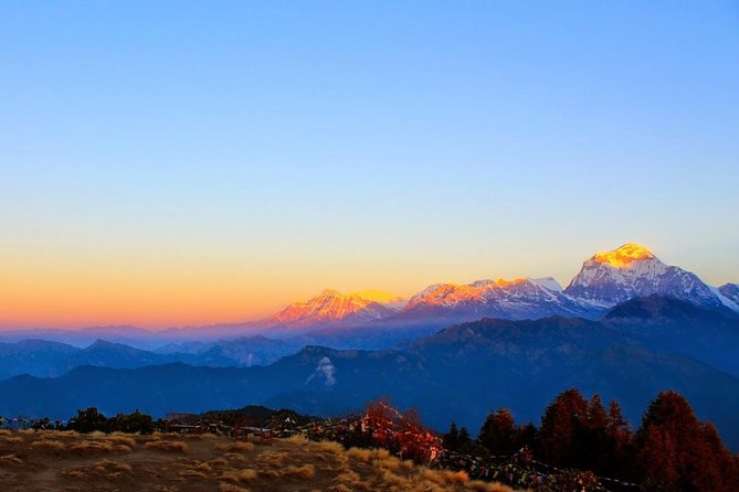 Ghorepani - Poon Hill yoga Trek - 10 Days - Ghorepani to Poon Hill to Tadapani: sunrise, breakfast, and forest hiking