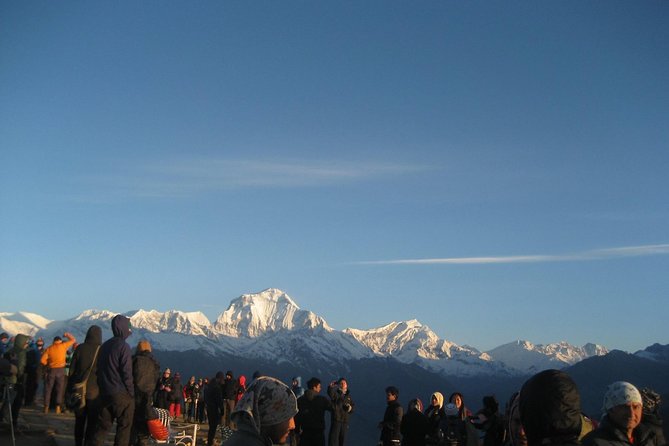 Ghorepani - Poon Hill yoga Trek - 10 Days - Tadapani to Ghandruk: rhododendron forests and Gurung village life